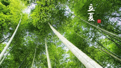 【二十四节气】福建周宁<寻根文化太美><微信公众号 致中文化>