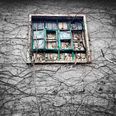 2016.12.20.之所以看到，是因为你想要看到。心中有怎样的声音，就会看到怎样的风景