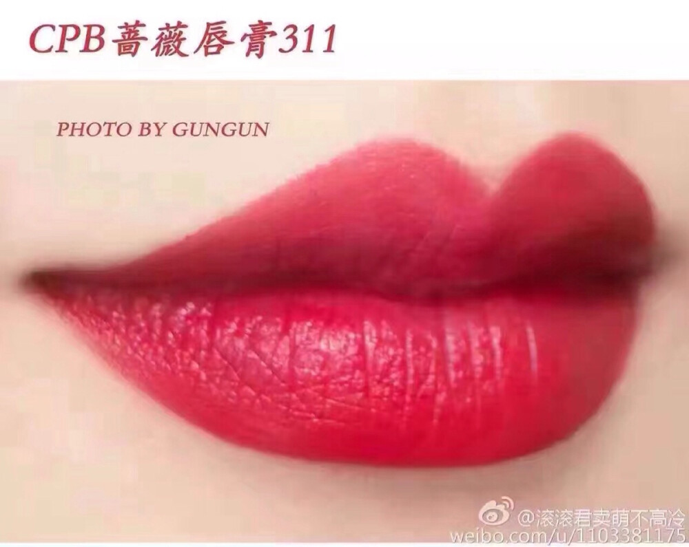 CPB311