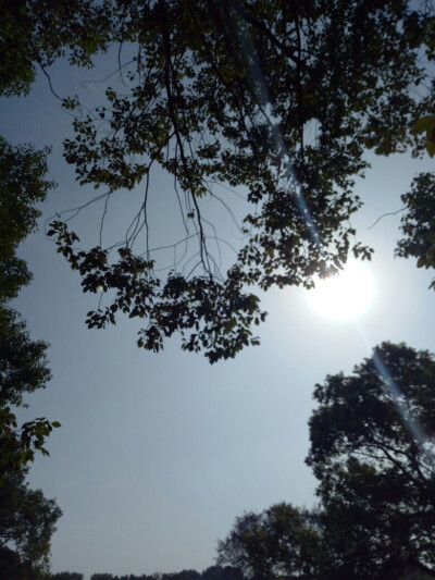 马鞍山森林公园