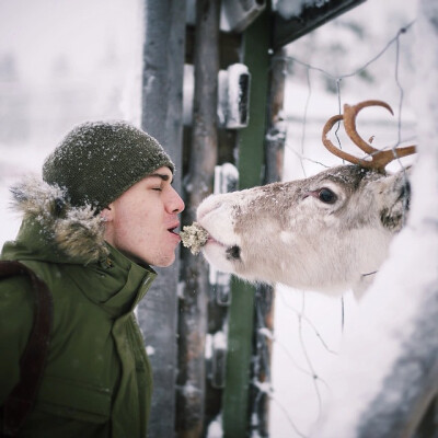 芬兰年轻摄影师Konsta Punkka与森林中的动物们