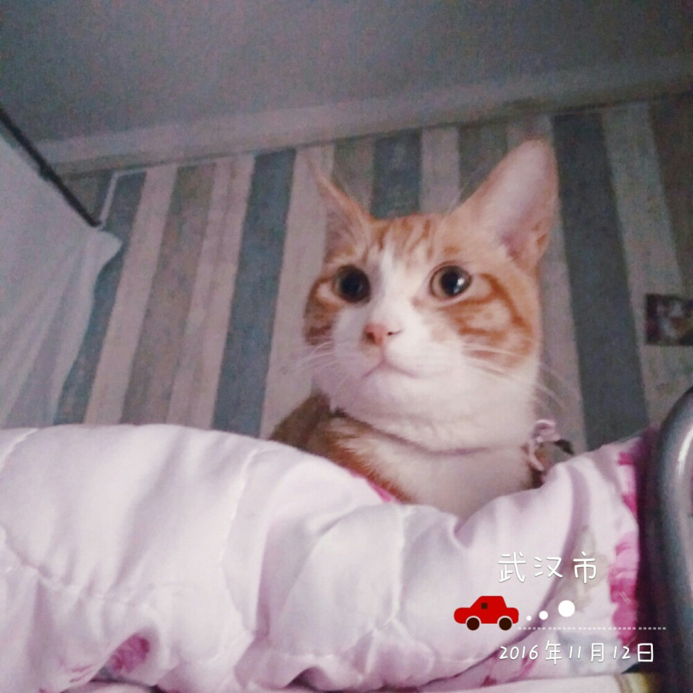 想你
