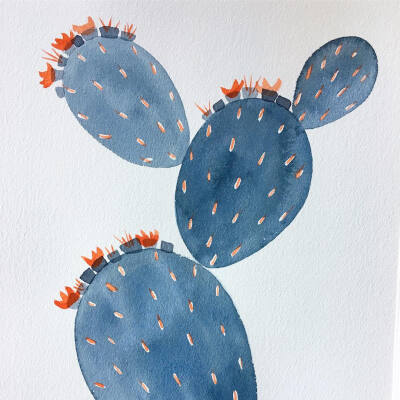 仙人掌 | 仙人球 | Cactus | 植物 | 插画 | 壁纸 | 摄影 | Instagram