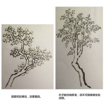 叶子 画法 素材 水墨 国画 