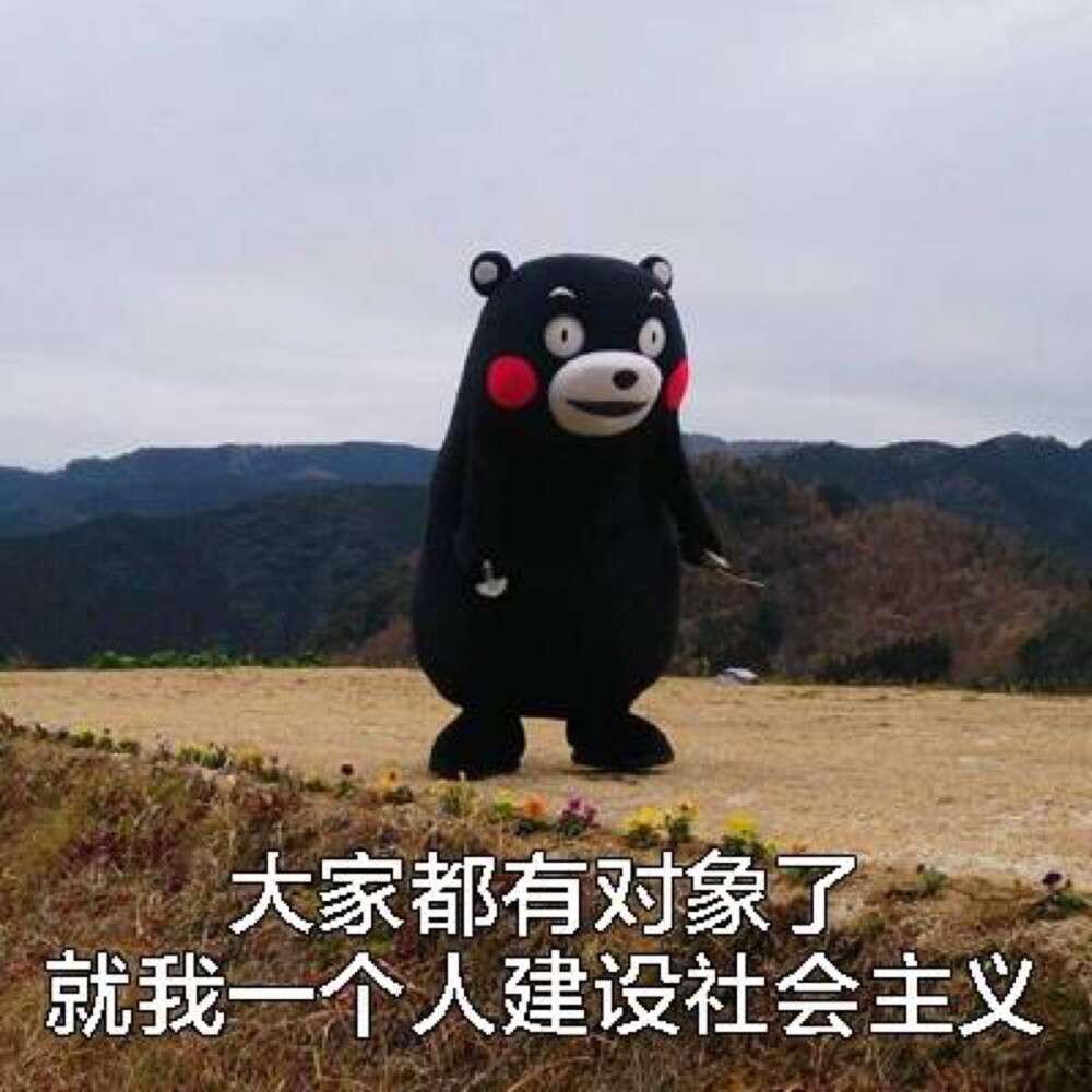 熊本熊表情包