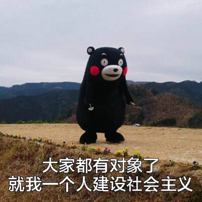 熊本熊表情包