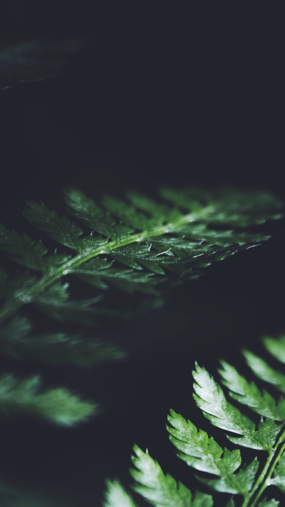 有没有人和我一样，在做一件事的时候，突然感觉这个情景很熟悉，曾在梦里面出现过.....