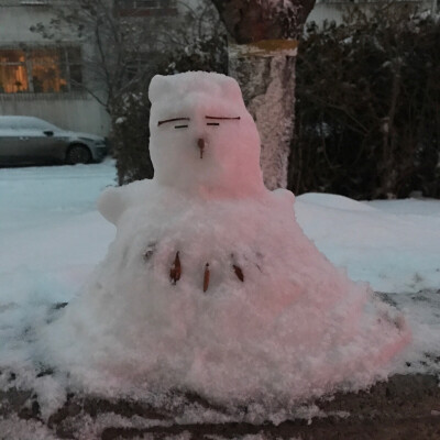 一晚上以后木有头发的雪人