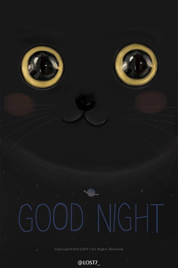 good，night，壁纸，猫咪，