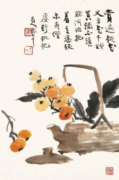 张大千 · 花鸟欣赏 …