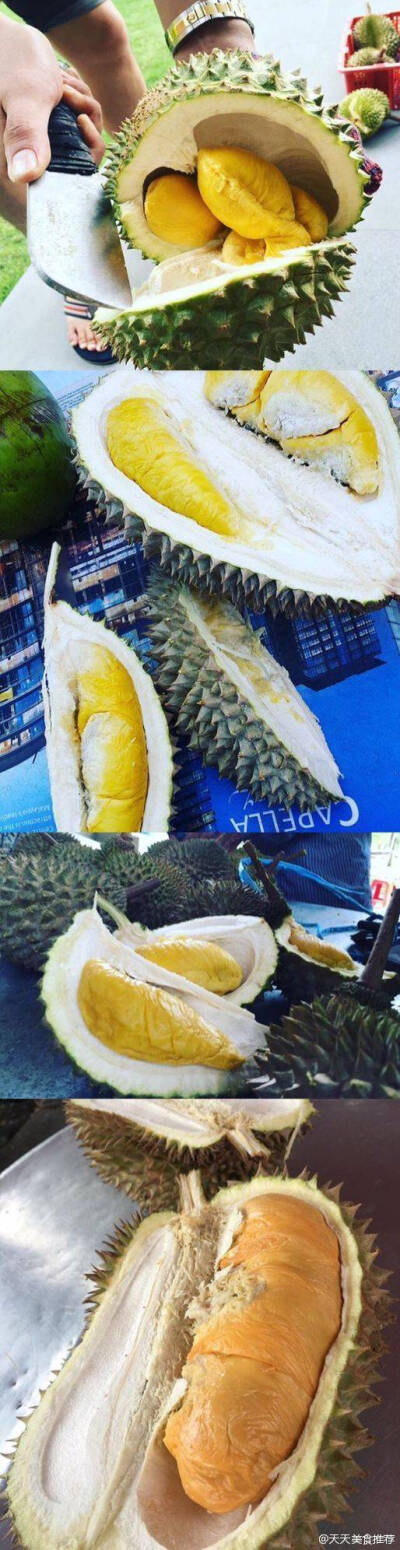 榴莲是一种很奇怪的东西 喜欢的很喜欢 讨厌的很讨厌 你属于哪一种