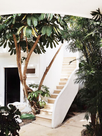 white stairwell with outdoor plants / sfgirlbybay