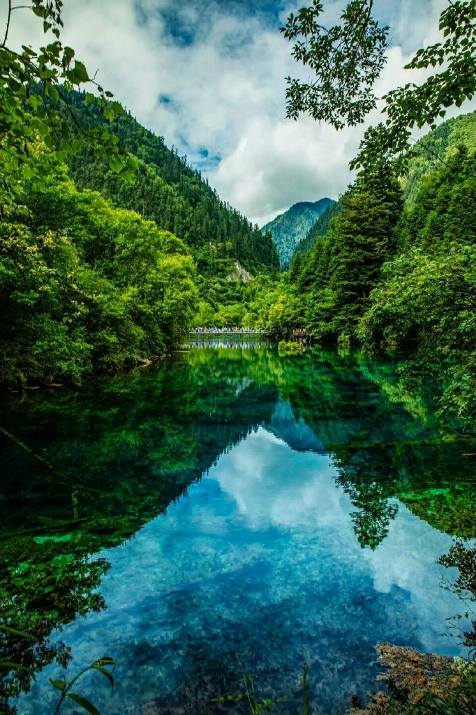 这里是植物的天堂，因沟内有九个藏族寨子而得名，大自然鬼斧神工之杰作。走进九寨沟，处处皆美，步步生美。山水泉石，无不成趣；草木花藤，无不着韵。趣由心生，韵自心为。有趣有韵，山水皆美。脱去俗衣，蜕去凡骨，由了心境，入了仙境。