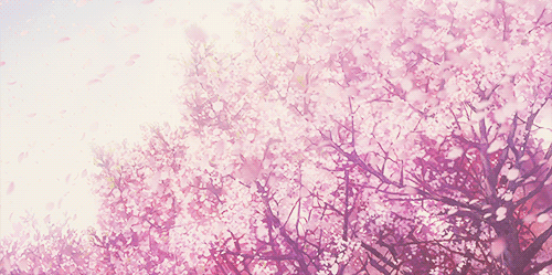 gif 动漫 /陈雨暄