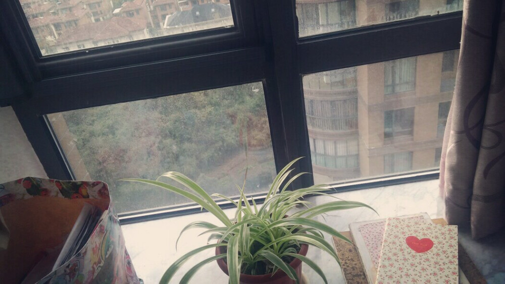 小时光，从高楼的飘窗往下看