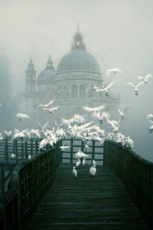 Santa Maria della Salute, Venice in The Fog,Italy（by Zú Sánchez）。雾漫威尼斯，隐约朦胧中的安康圣母教堂。2016.12.24