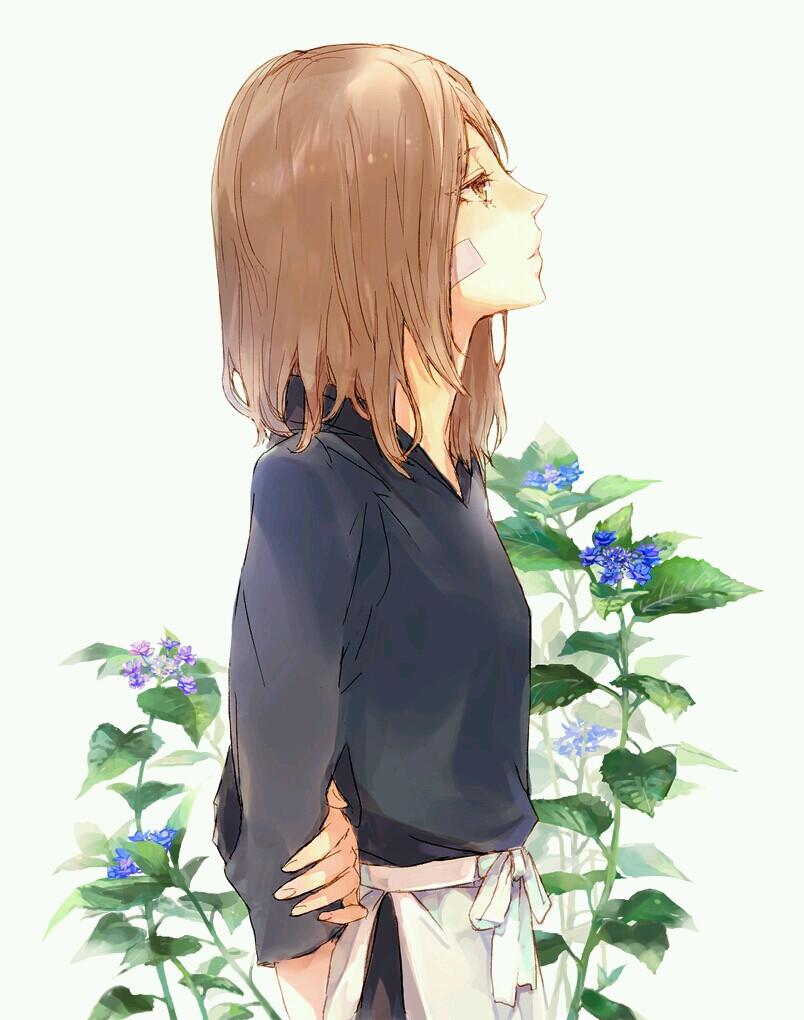 火影忍者野原琳