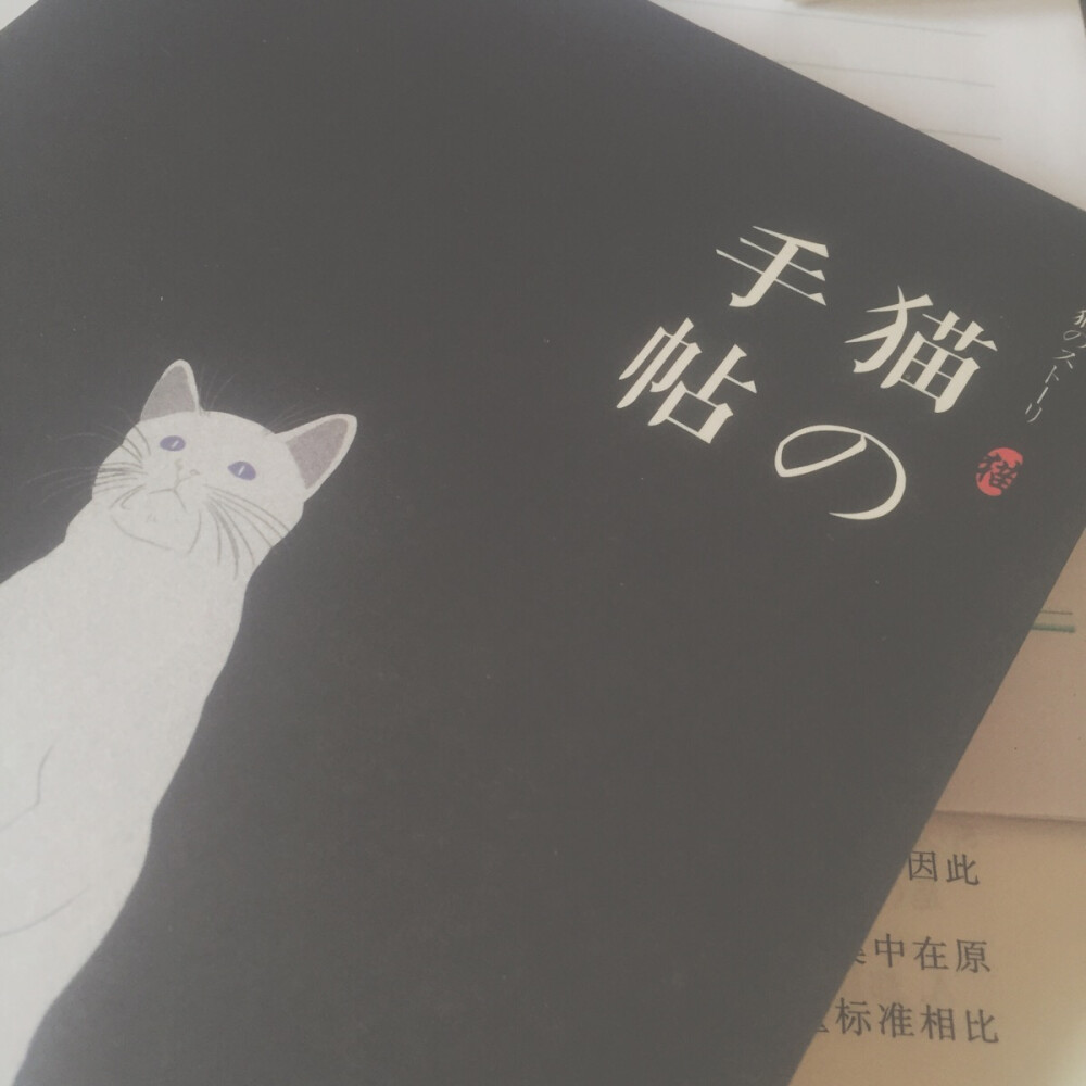 原创作品，山田绿限量手帖猫の，原宿