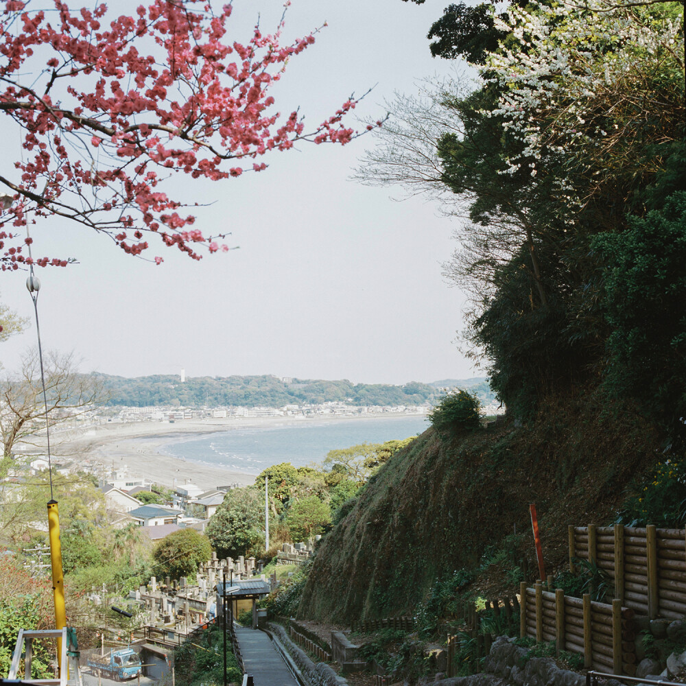 海街日记巡礼