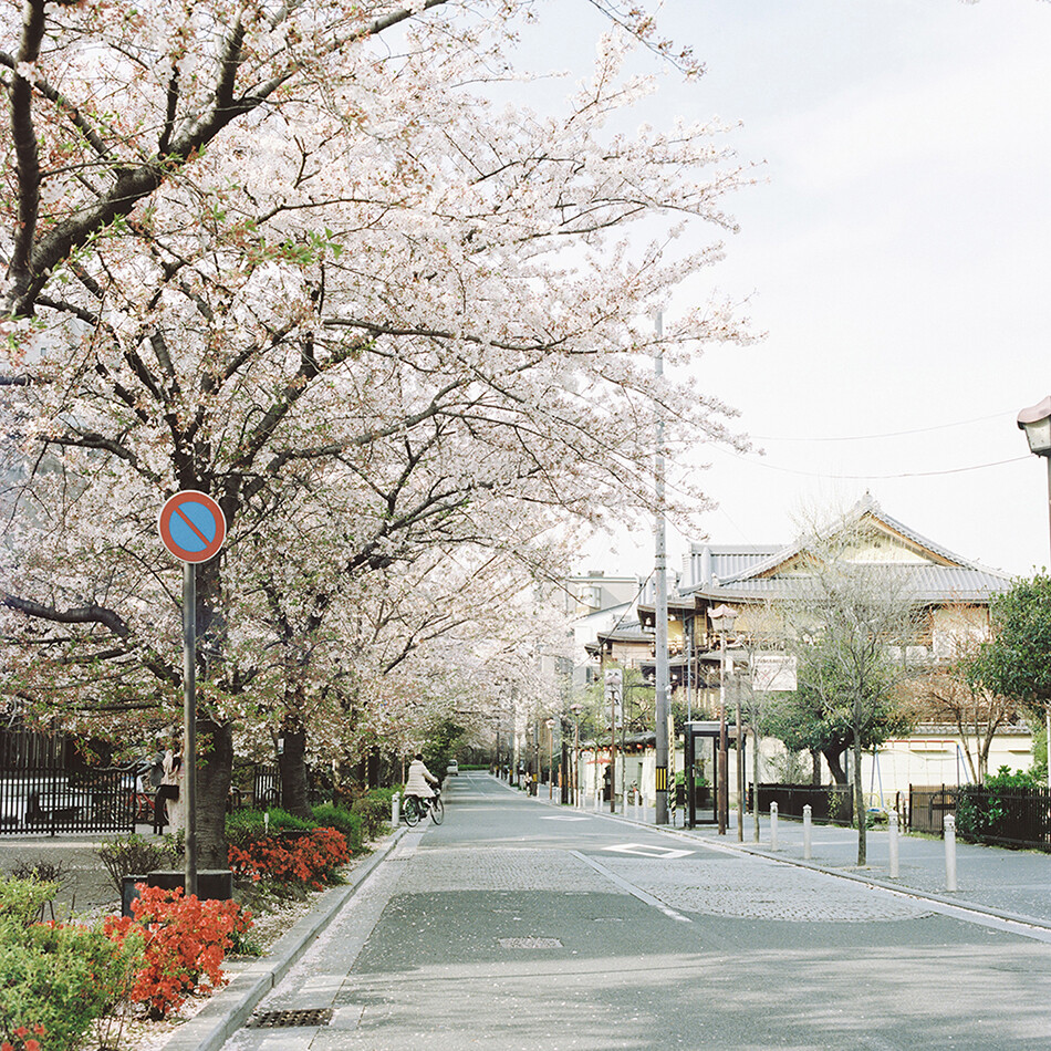 京都的小街道