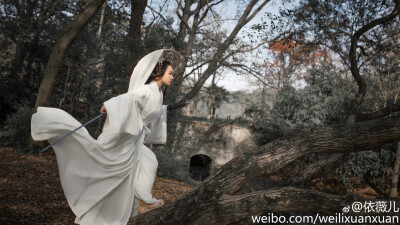 十步杀一人，千里不留行，
事了拂衣去，深藏身与名。
出境：@十月花崎 