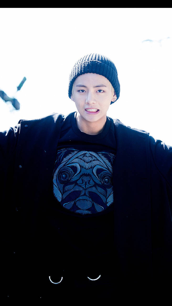 防弹少年团 金泰亨 V