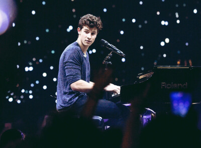 shawn mendes