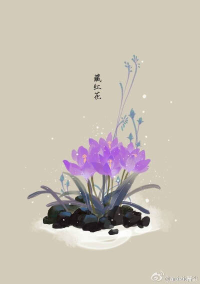 1月3日 藏红花 (Spring Crocus)
花语 : 执著
花箴言 : 若果人生没有了爱，就像在漆黑的隧道前行，没方向，举步维艰。