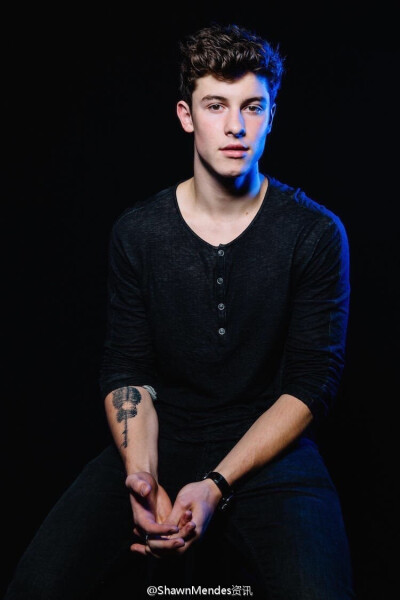 shawn mendes