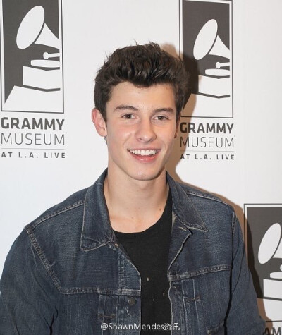 shawn mendes