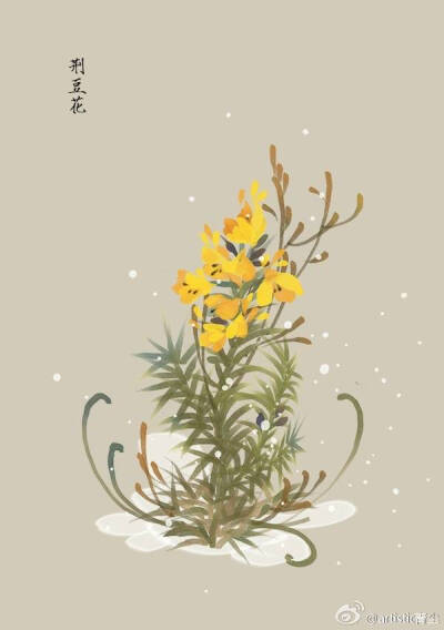 1月10日 生日花：荆豆花（Golden Gorse）
花语：丰饶（Fertility）