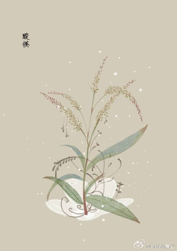 1月17日 酸模（Sorrel）
花语 : 挚爱