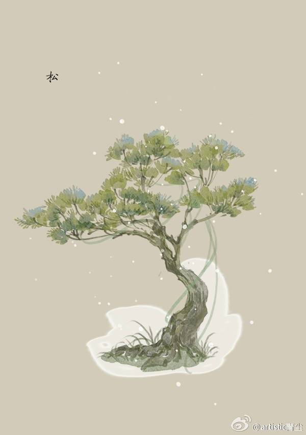 1月19日 松 (Pine)
花语 : 健康、长寿 