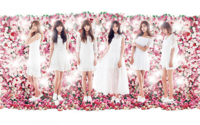 apink
