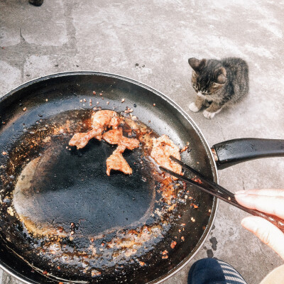 烤肉的时候猫猫也想吃呐、