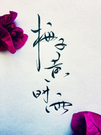 梅子黄时雨