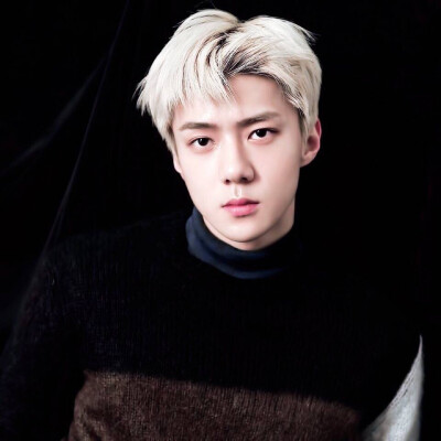 EXO SEHUN 吴世勋 161221 for life 内页扫图精修 【yeolyberry/semper_simul】