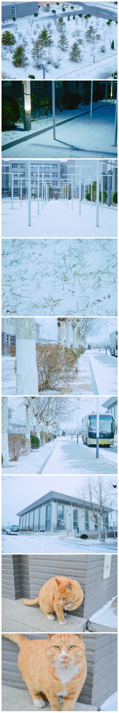 -I like snow. photo by goicek In 大连