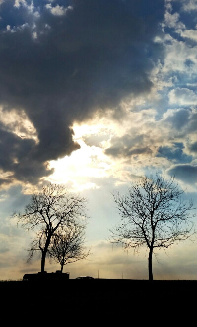 树林, 丛林, 夕阳, 背景, 桌面, 壁纸, 天空, 美, 摄影, 手机拍摄, 冬天, 树木