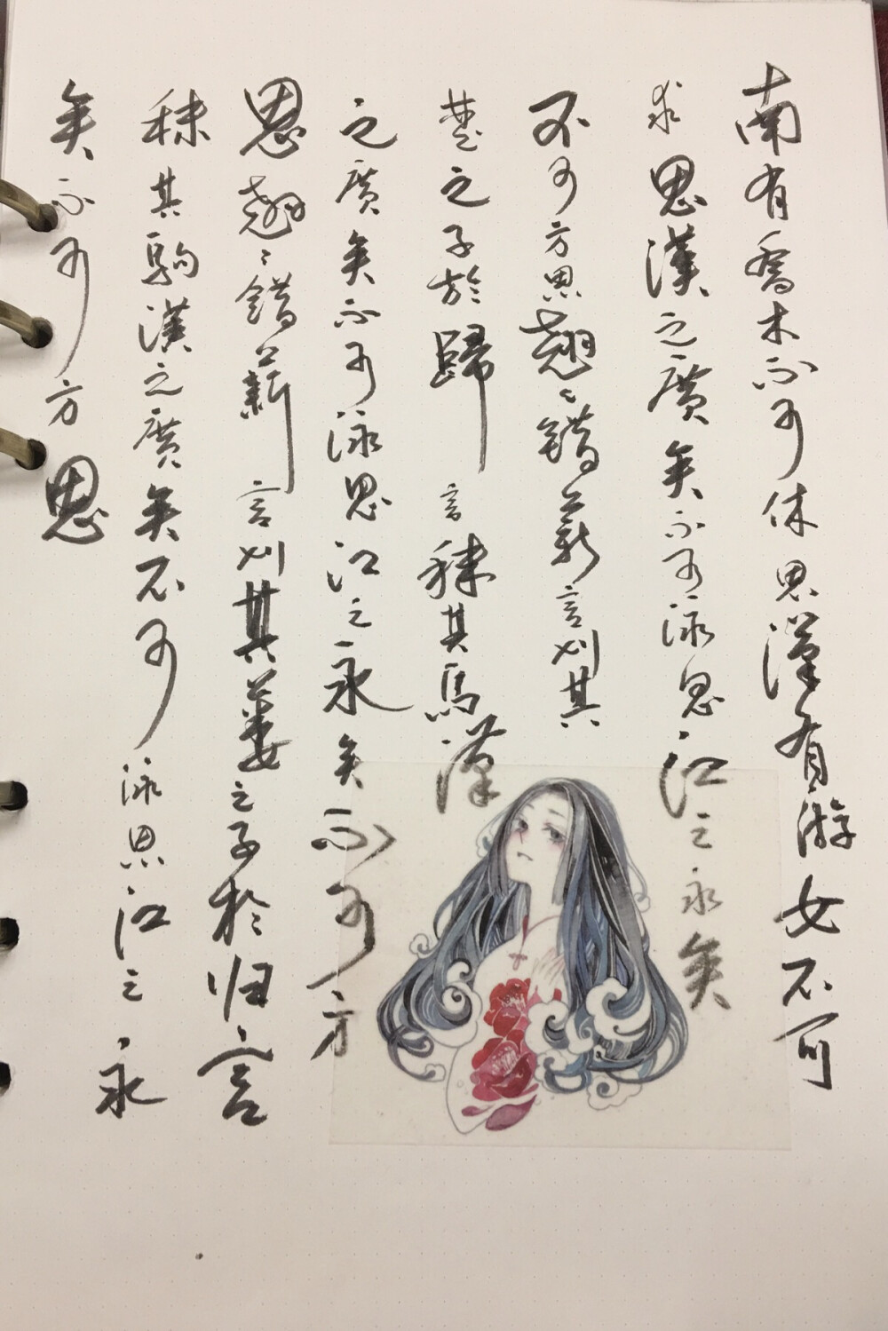 双木社#诗经抄写