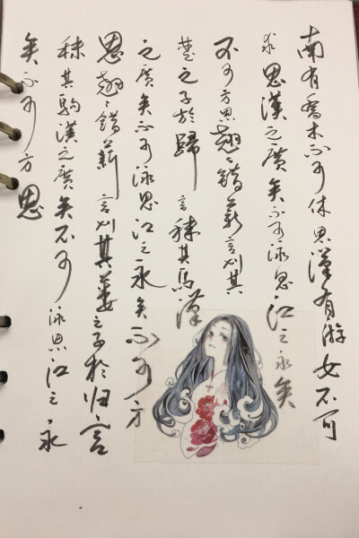 双木社#诗经抄写
