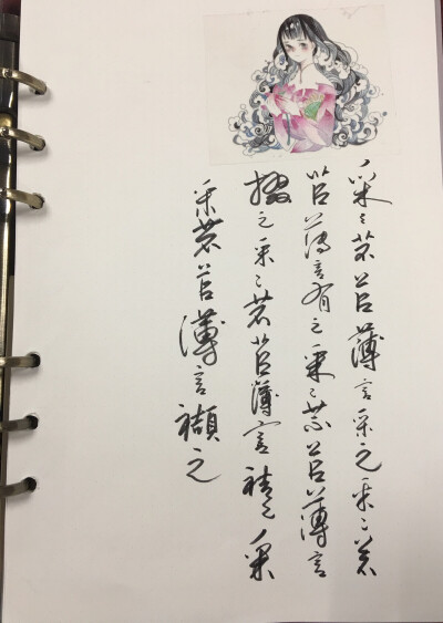 双木社#诗经抄写