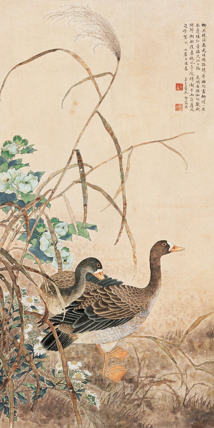 国画大师陈之佛工笔花鸟画精选