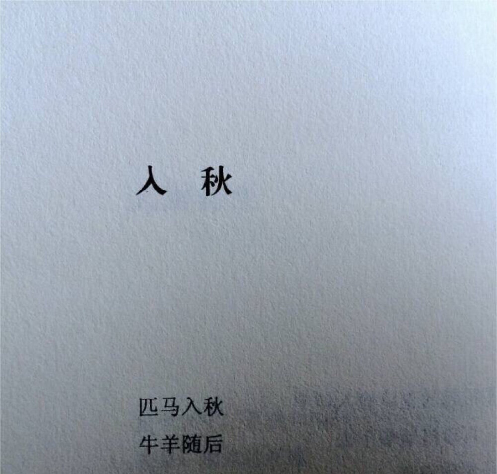 文字收集