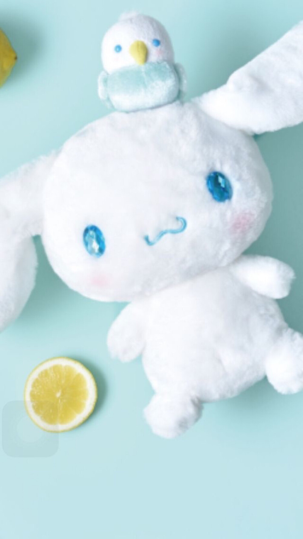 壁纸 iphone 肉桂狗 cinnamoroll