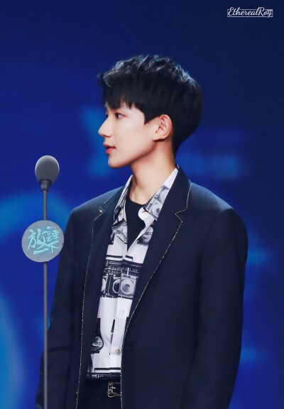 这个侧颜我大概可以舔一百年吧 王源 2016移动视频风云盛典