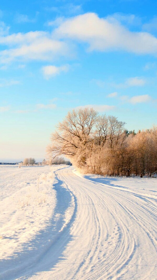 雪白大地