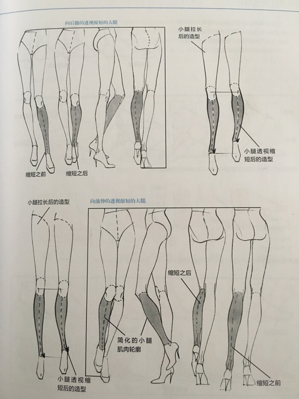 《美国经典时装画技法》绘制腿