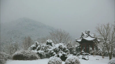 雪中金陵