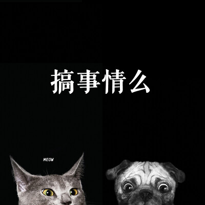 黑色猫咪法国斗牛犬亲肤iPhone7plus6S文艺原创磨砂手机保护壳套